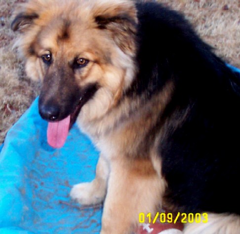 Buster
