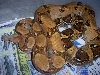 ? boa constrictor