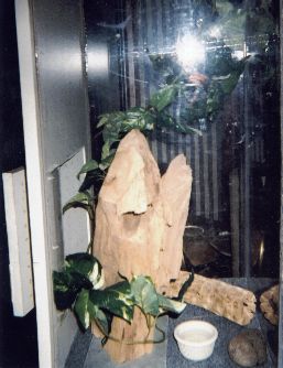 Cage Close up