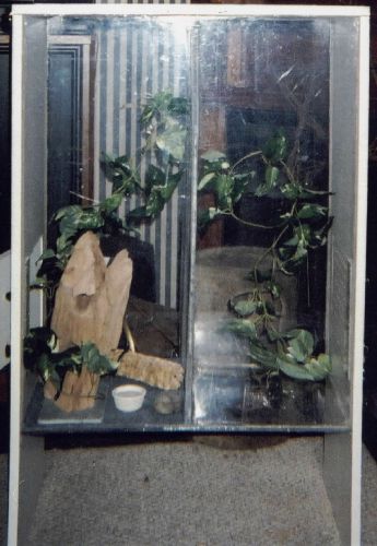 Custom Cage
