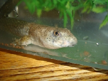 franklin 3/10/06