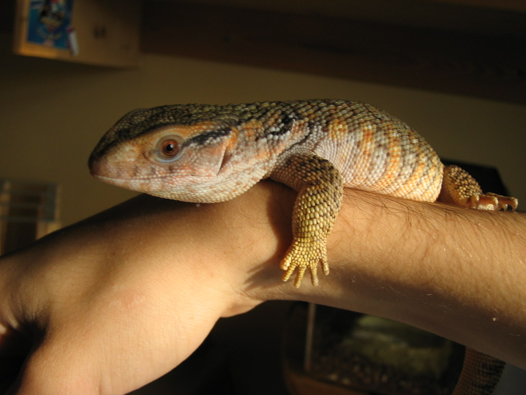 my baby savv on my arm