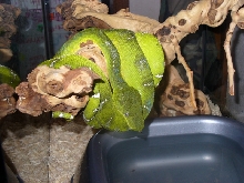 new addition 2