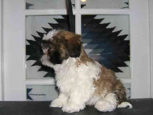 Male 1 born 11/12/05