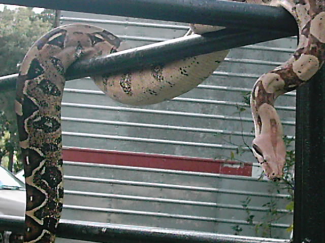 Hangin' out 2...