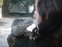 Ozzy and Mommy...
