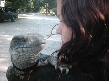 Ozzy and Mommy 4...