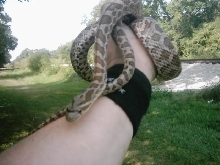 My Emori's....