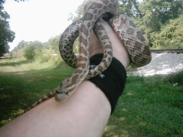 My Emori's....