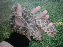 My Emori's 2...