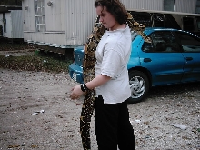 Big Boa!