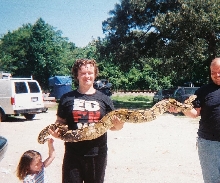 new 8' female boa
