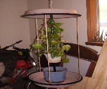 New cage