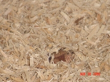 Can U See Me?