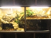 cage2