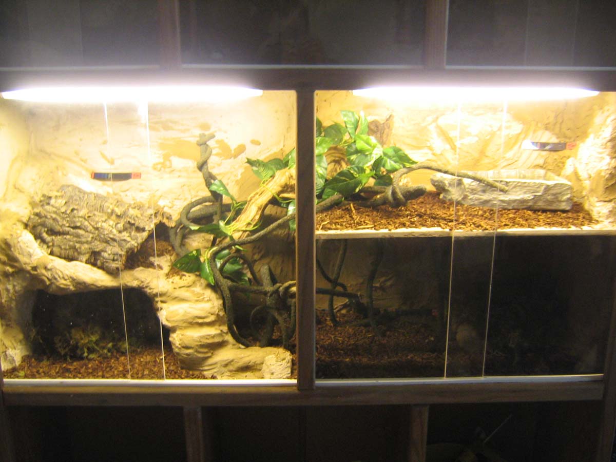 cage2