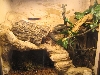 ballcageleft