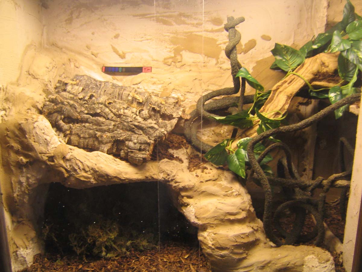 ballcageleft