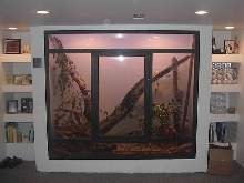 Cage in basement