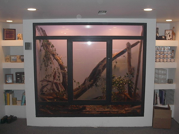 Cage in basement