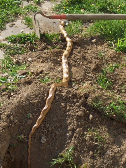 After some digging....