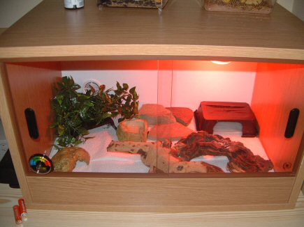 Cedrics new home