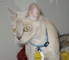 My handsome boy