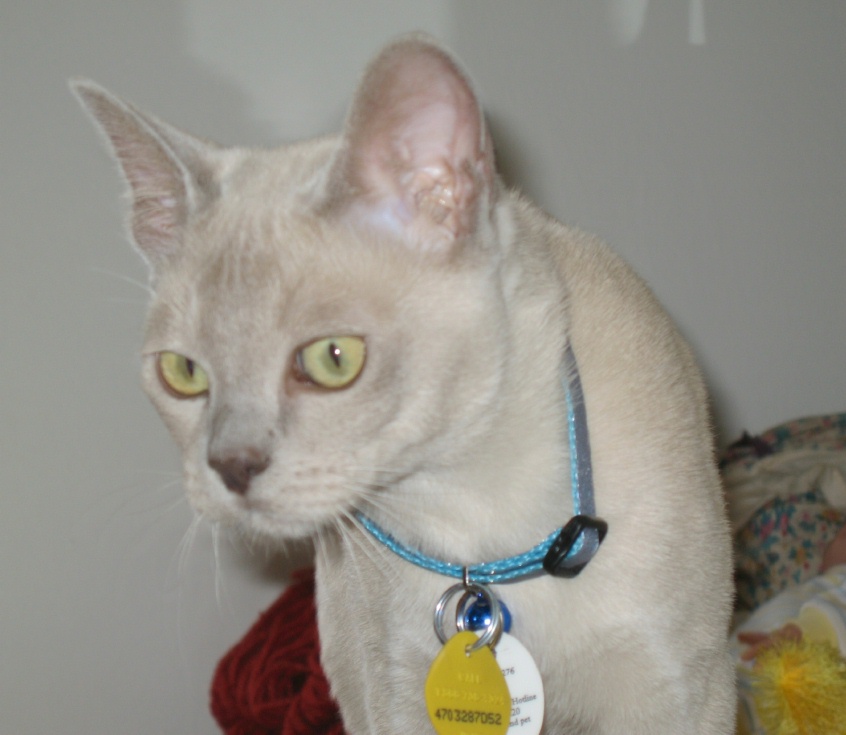 My handsome boy
