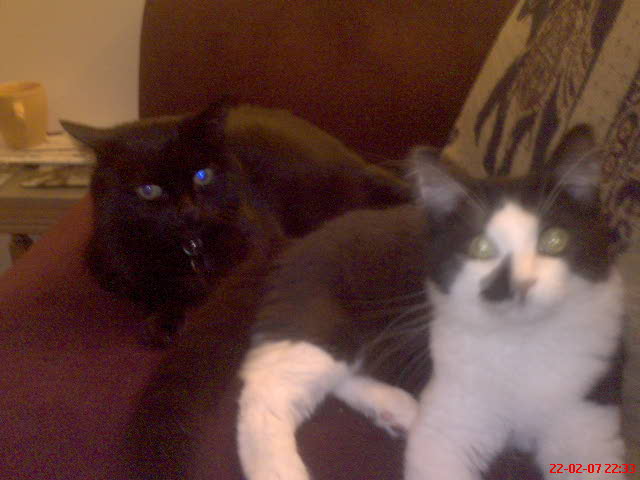 Pepsi and Cola
