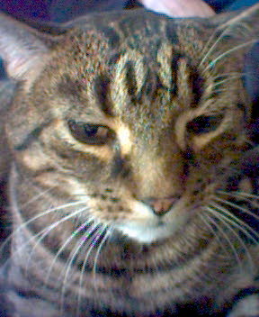 You're boring me now