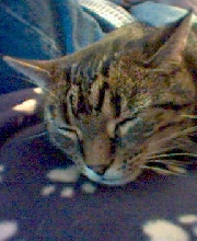 Sleeping again