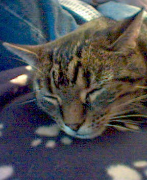 Sleeping again