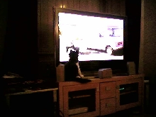 Cola watching TV