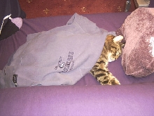 He sleeps.....a lot !