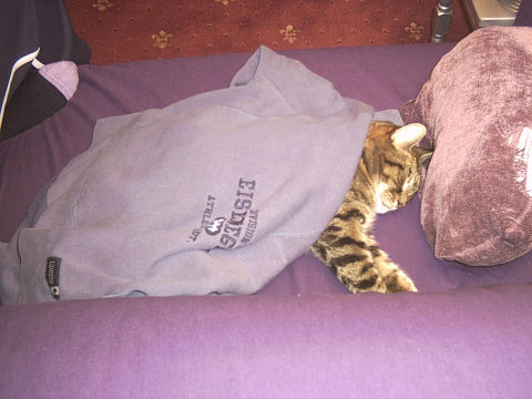 He sleeps.....a lot !