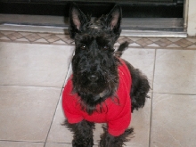 Jack on Christmas