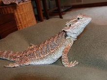 Just loungin'