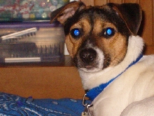 Buster