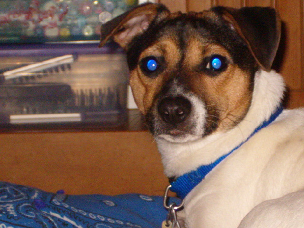 Buster