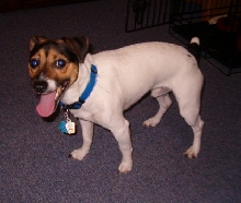 Buster