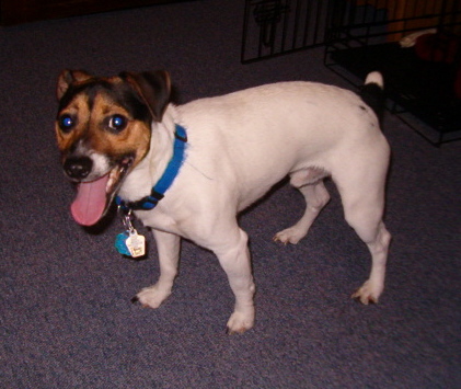 Buster