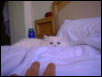 psycho kitty