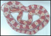 My New Amel