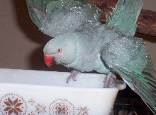 taking a bath...
