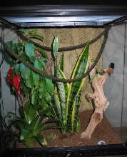 cage 3
