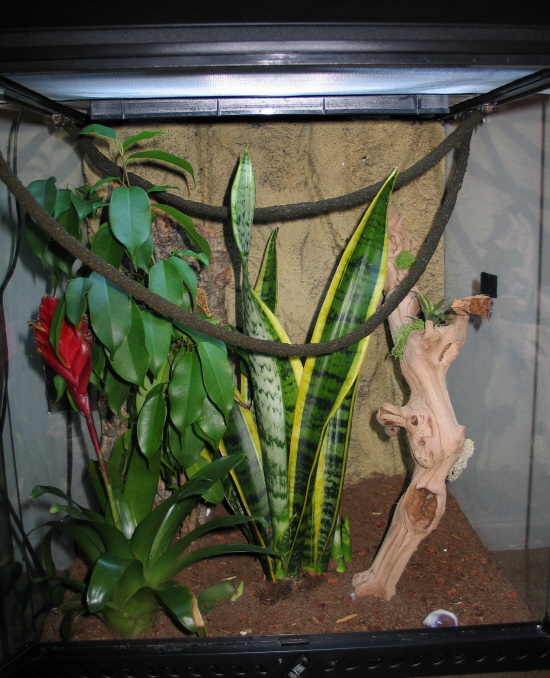 cage 3