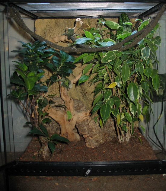 cage 2