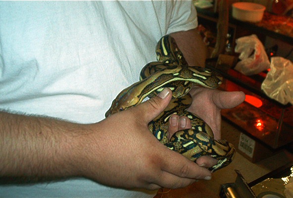961