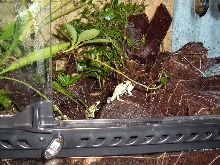 Terribilis hanging out