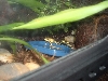 Terribilis 6